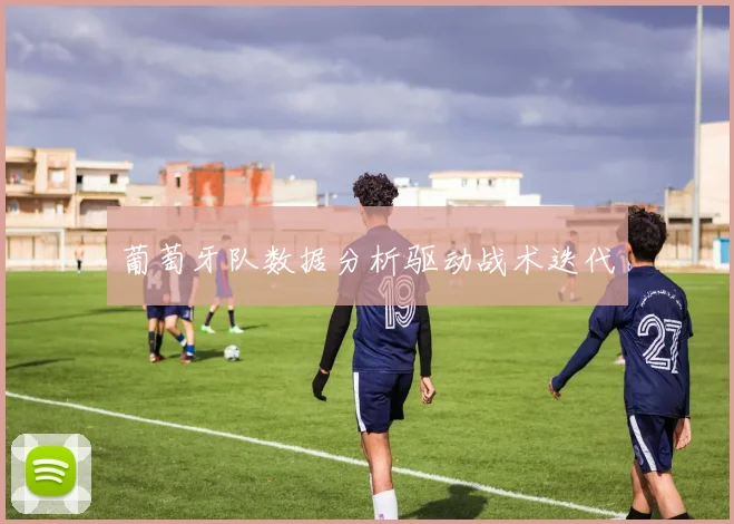 葡萄牙队数据分析驱动战术迭代
