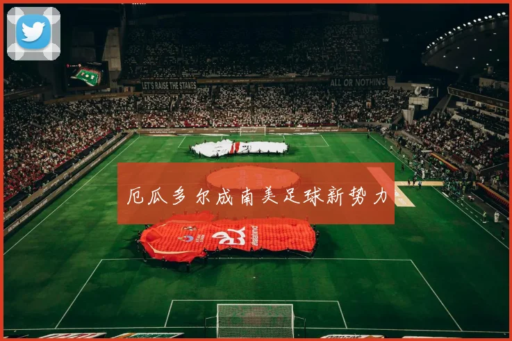 厄瓜多尔成南美足球新势力