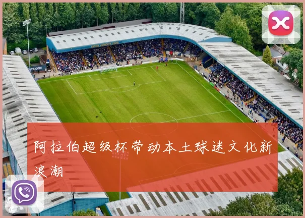 阿拉伯超级杯带动本土球迷文化新浪潮